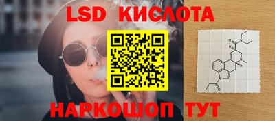 прущие грибы Краснознаменск