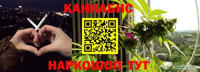 прущие грибы Краснознаменск